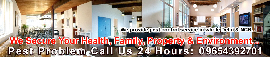 Pest Control Gurgaon