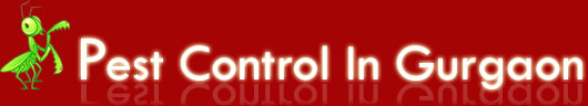 Pest control in delhi